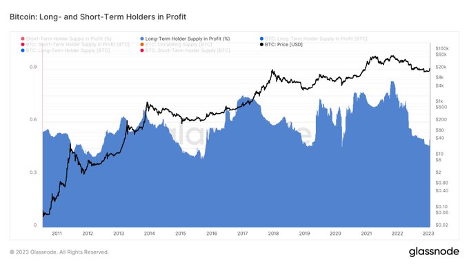 Bitcoin long and short term holders in profit