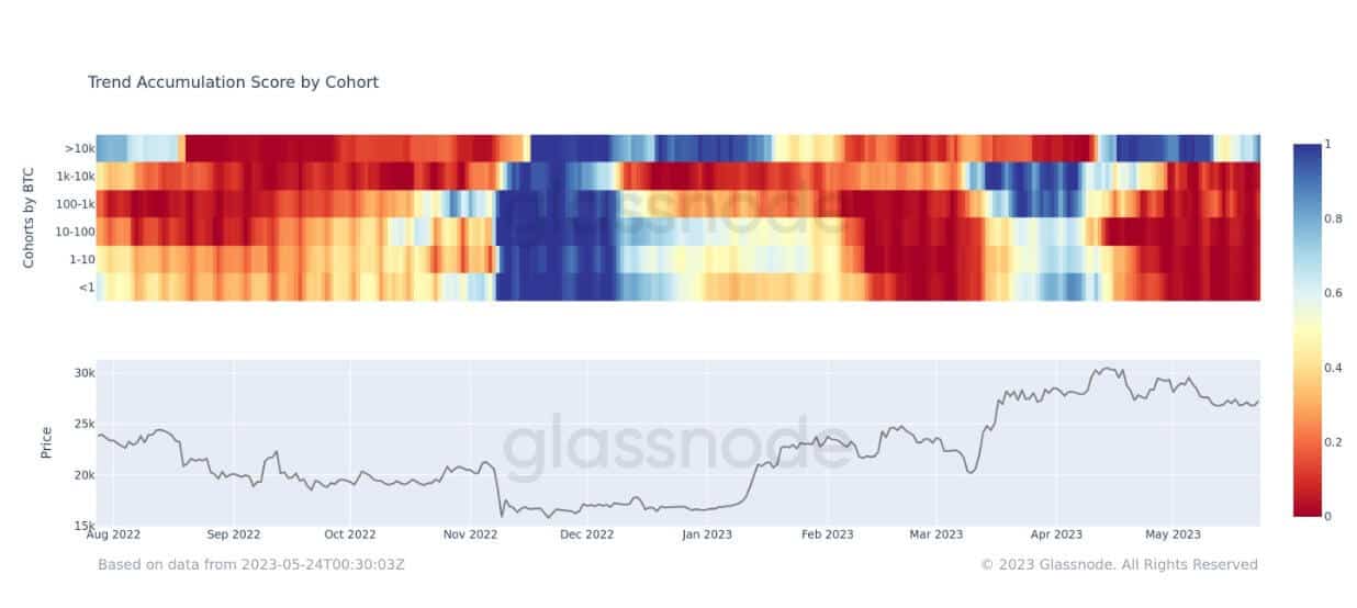 Glassnode accumulation cohorts