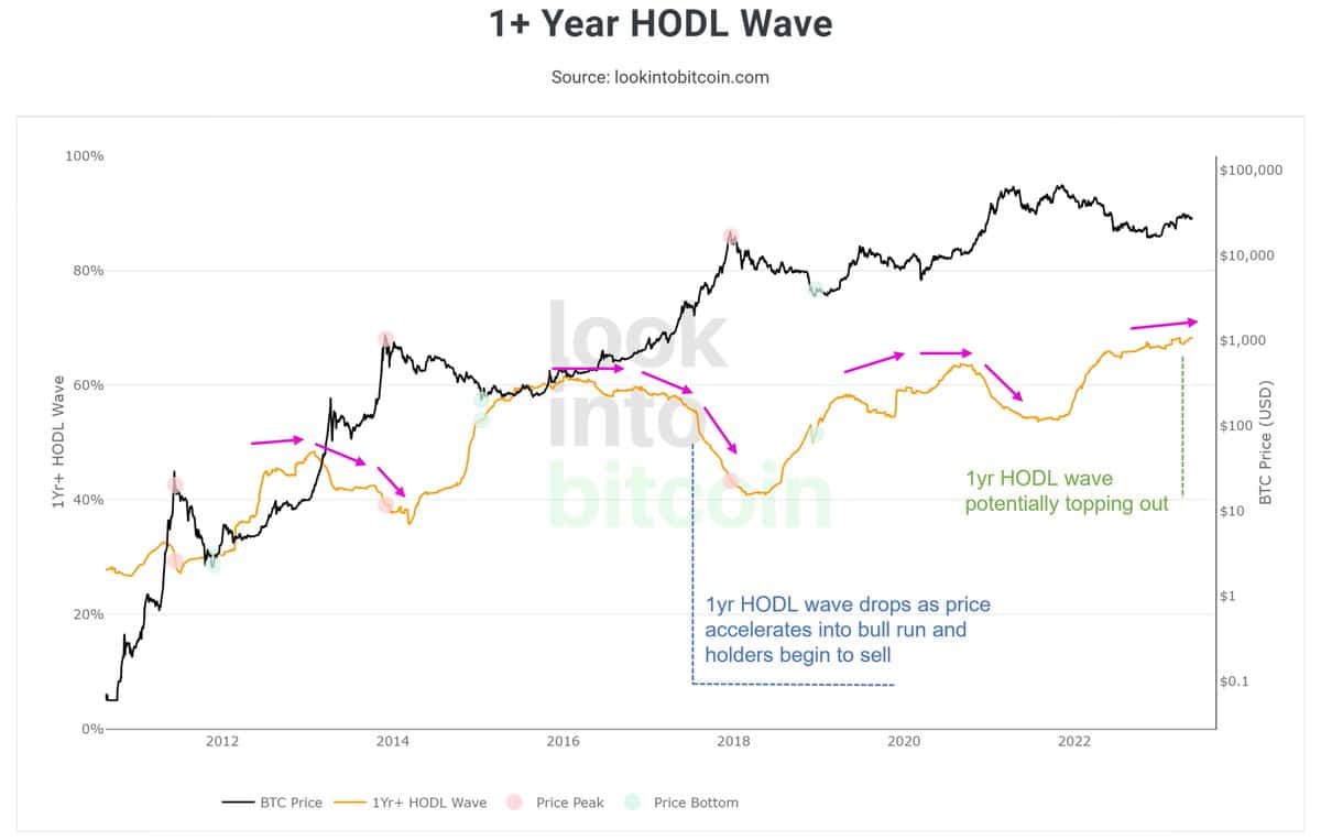 1-year HODL Waves. Source: Twitter/@PositiveCrypto